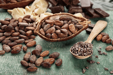 Cacao Beans in a bowl